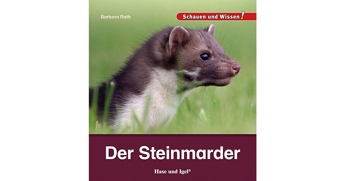 Buch - Der Steinmarder von Hase und Igel Verlag