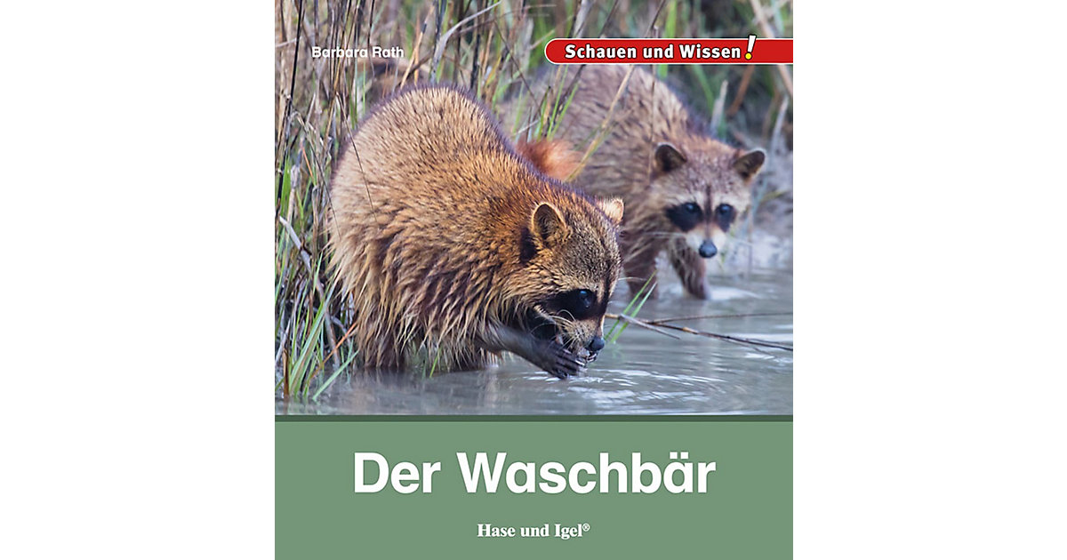 Buch - Der Waschbär Buch - Der Waschbär von Hase und Igel Verlag