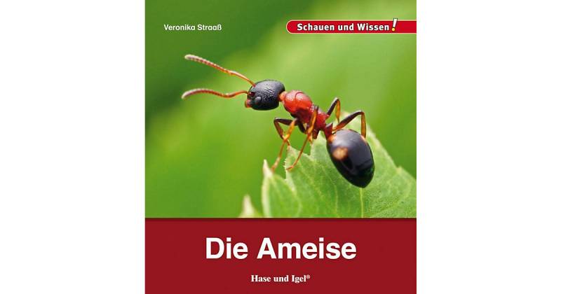 Buch - Die Ameise von Hase und Igel Verlag