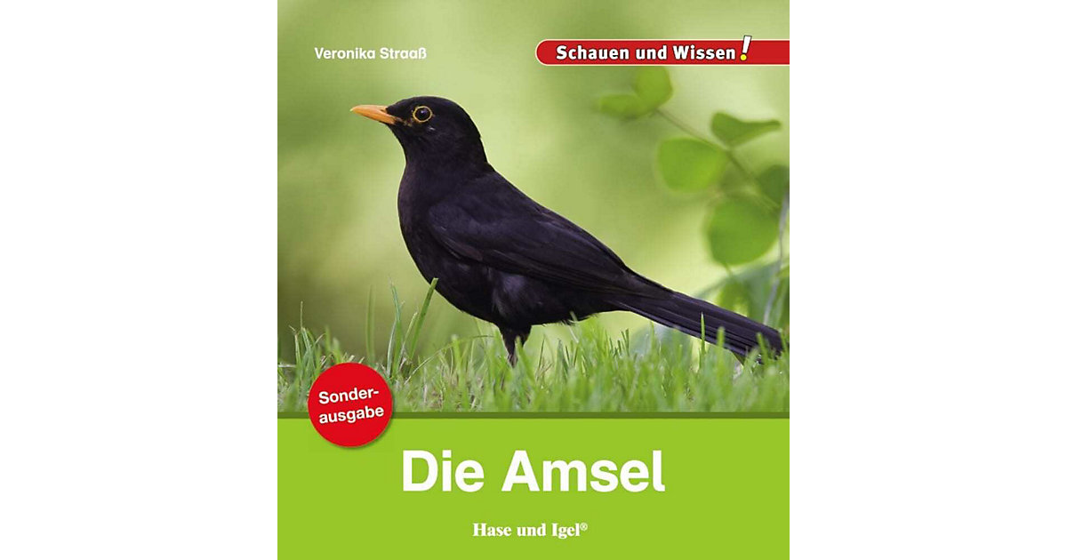 Buch - Die Amsel / Sonderausgabe von Hase und Igel Verlag