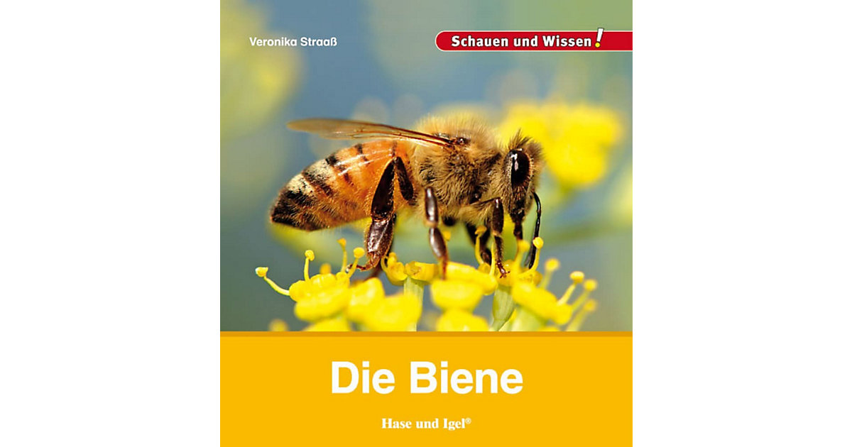Buch - Die Biene Buch - Die Biene von Hase und Igel Verlag