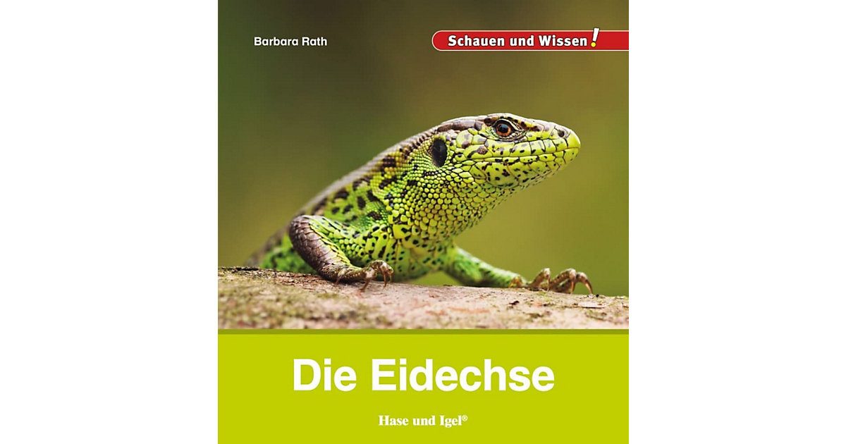 Buch - Die Eidechse Buch - Die Eidechse von Hase und Igel Verlag