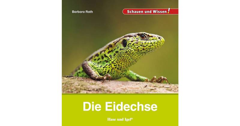 Buch - Die Eidechse von Hase und Igel Verlag