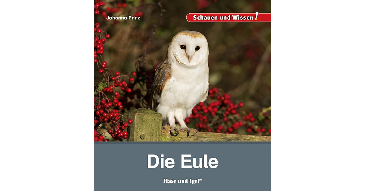 Buch - Die Eule Buch - Die Eule von Hase und Igel Verlag