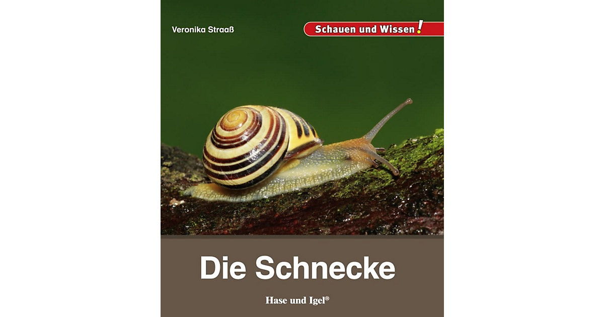 Buch - Die Schnecke Buch - Die Schnecke von Hase und Igel Verlag