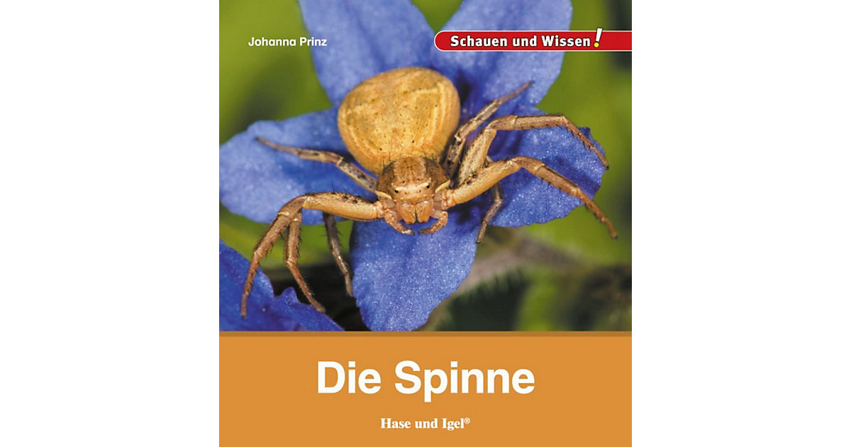Buch - Die Spinne Buch - Die Spinne von Hase und Igel Verlag