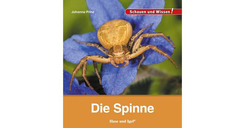 Buch - Die Spinne von Hase und Igel Verlag