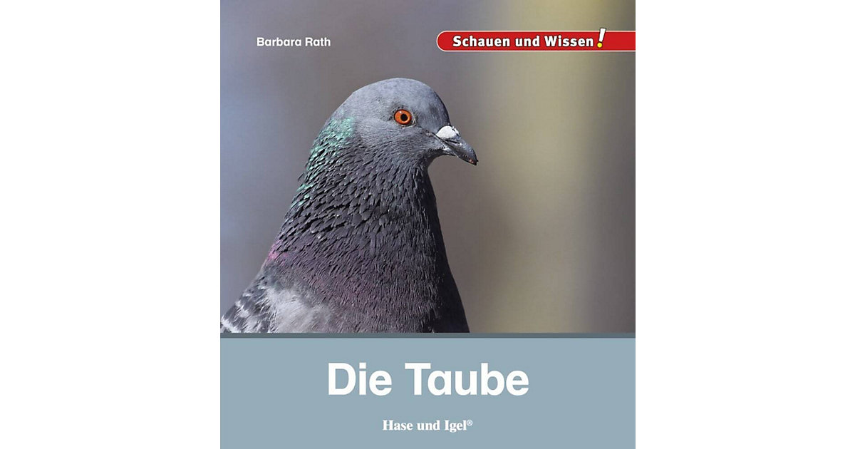 Buch - Die Taube Buch - Die Taube von Hase und Igel Verlag