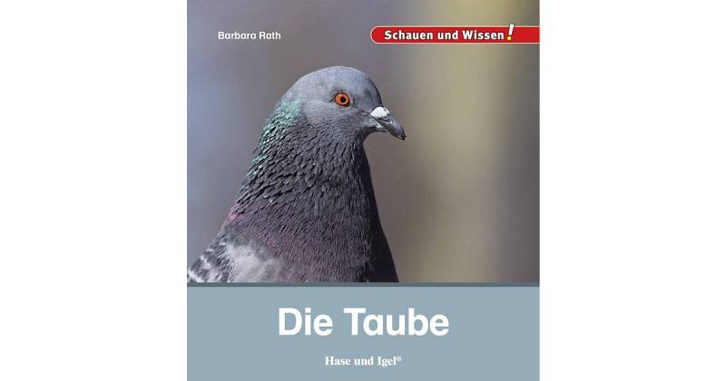 Buch - Die Taube von Hase und Igel Verlag