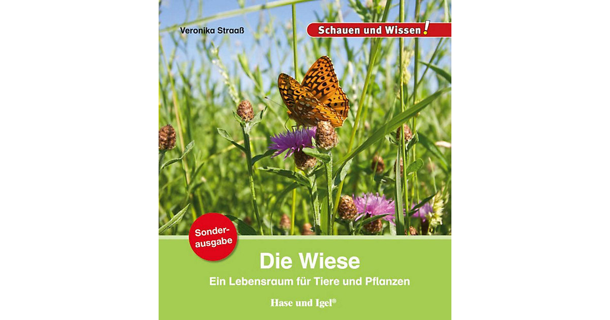 Buch - Die Wiese/Sonderausgabe Buch - Die Wiese/Sonderausgabe von Hase und Igel Verlag