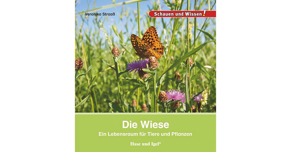 Buch - Die Wiese Buch - Die Wiese von Hase und Igel Verlag