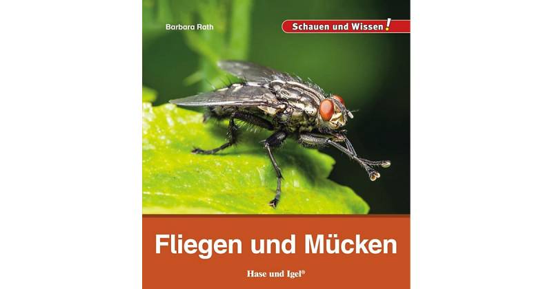 Buch - Fliegen und Mücken von Hase und Igel Verlag