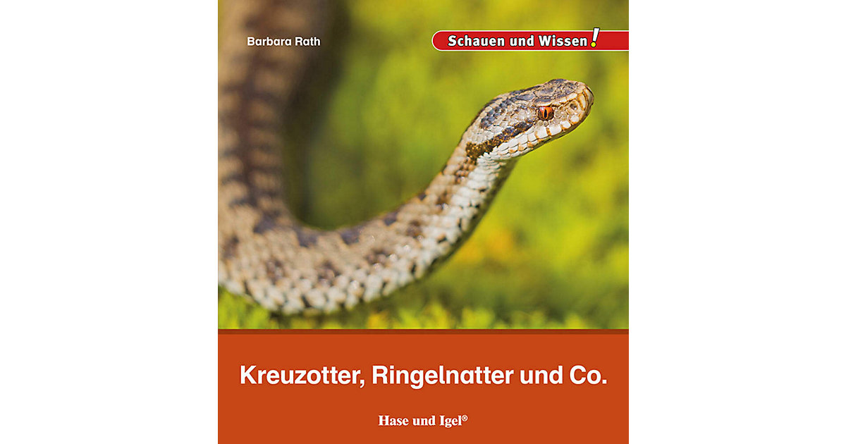 Buch - Kreuzotter, Ringelnatter und Co. Buch - Kreuzotter, Ringelnatter und Co. von Hase und Igel Verlag