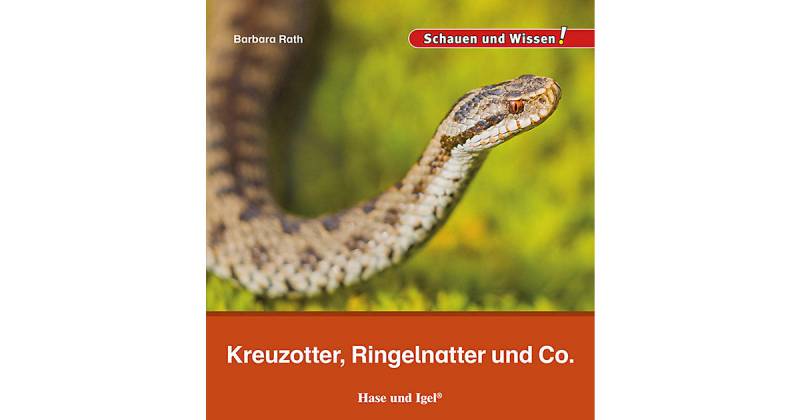 Buch - Kreuzotter, Ringelnatter und Co. von Hase und Igel Verlag