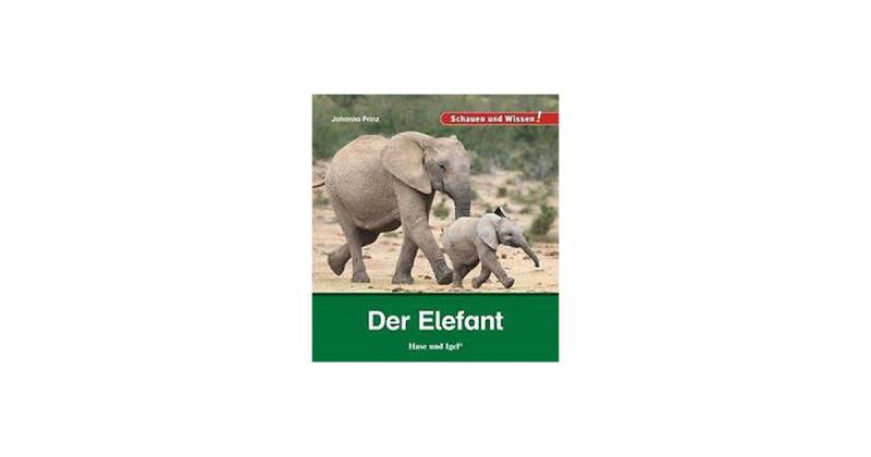 Buch - Schauen und Wissen: Der Elefant von Hase und Igel Verlag