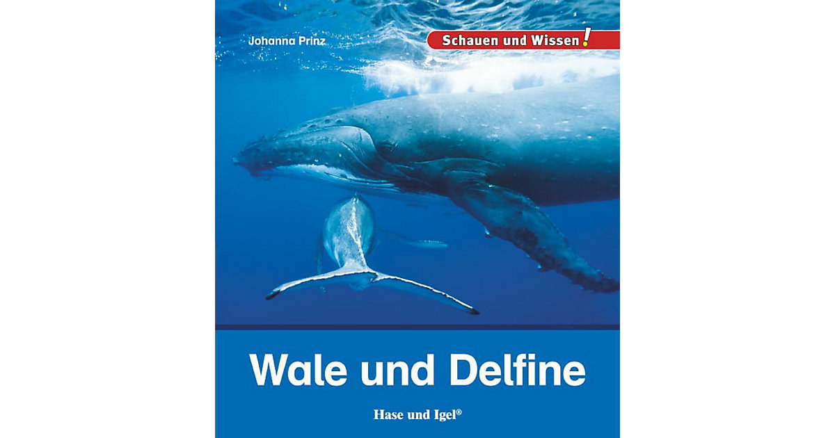 Buch - Schauen und Wissen: Wale und Delfine Buch - Schauen und Wissen: Wale und Delfine von Hase und Igel Verlag