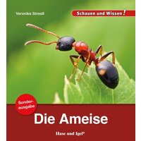 Die Ameise / Sonderausgabe von Hase und Igel Verlag