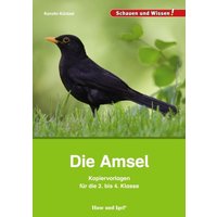 Die Amsel - Kopiervorlagen für die 2. bis 4. Klasse von Hase und Igel Verlag