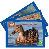 Rätselstreifen Ratespaß / Kamishibai Bildkarten Rätselstreifen Ratespaß / Kamishibai Bildkarten von Hase und Igel