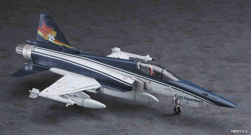Area-88 F-20 Tigershark Shin Kazama von Hasegawa
