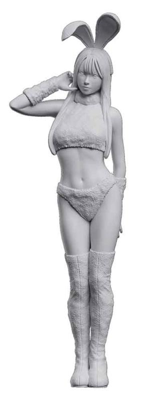 Bunny Cosplayer - Real Figur Collection Nr. 45 Bunny Cosplayer - Real Figur Collection Nr. 45 von Hasegawa