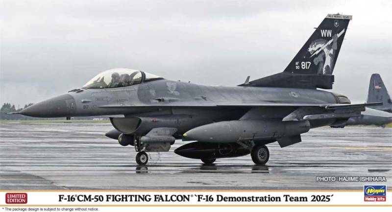 F-16Cm-50 Fighting Falcon von Hasegawa