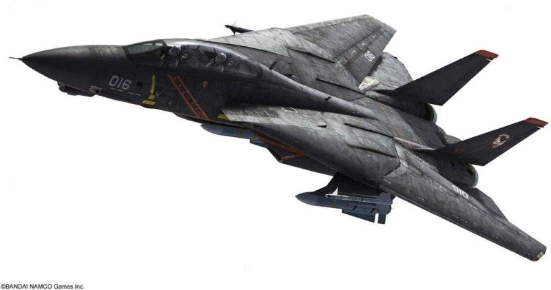 F14A Tomcat Ace Combat Raxgriz von Hasegawa