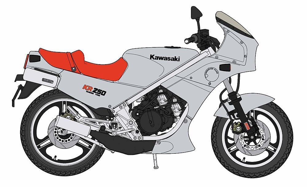 Kawasaki KR250, Silver Color Kawasaki KR250, Silver Color von Hasegawa