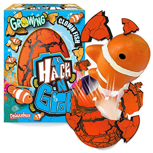 Hatch n Grow - Clownfisch von Deluxebase. 11cm großes, wachsendes und schlüpfendes Ei mit Fischspielzeug. Legen Sie es ins Wasser um zu sehen wie Sich das magische Spielzeug verwandelt von Hatch n Grow