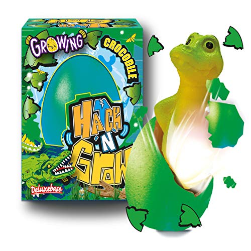 Deluxebase Hatch 'N' Grow - Krokodil 11cm großes, wachsendes und schlüpfendes Ei mit Krokodilspielzeug. Legen Sie es ins Wasser um zu sehen wie Sich das magische Spielzeug verwandelt von Deluxebase