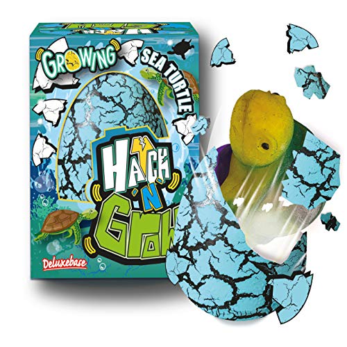Hatch n Grow - Meeresschildkröte von Deluxebase. Großes, wachsendes und schlüpfendes Ei mit Schildkrötenspielzeug. Legen Sie es ins Wasser um zu sehen wie Sich das magische Spielzeug verwandelt Hatch n Grow - Meeresschildkröte von Deluxebase. Großes, wachsendes und schlüpfendes Ei mit Schildkrötenspielzeug. Legen Sie es ins Wasser um zu sehen wie Sich das magische Spielzeug verwandelt von Hatch n Grow