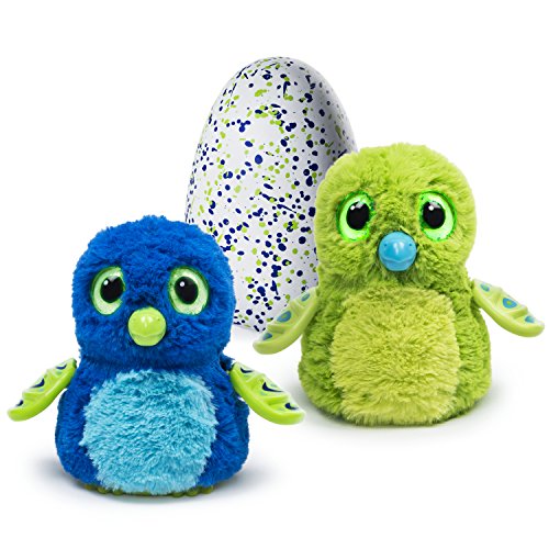 Spin Master 6028895 - Hatichmals - Draggles - Version 1 (Blau-Grüne Sortierung) von Hatchimals