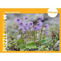Alpen-Soldanelle – Puzzle Alpen-Soldanelle – Puzzle von Haupt Verlag AG