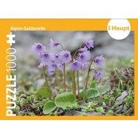 Alpen-Soldanelle – Puzzle Alpen-Soldanelle – Puzzle von Haupt Verlag AG