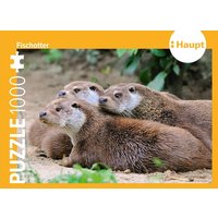 Fischotter - Puzzle Fischotter - Puzzle von Haupt Verlag AG