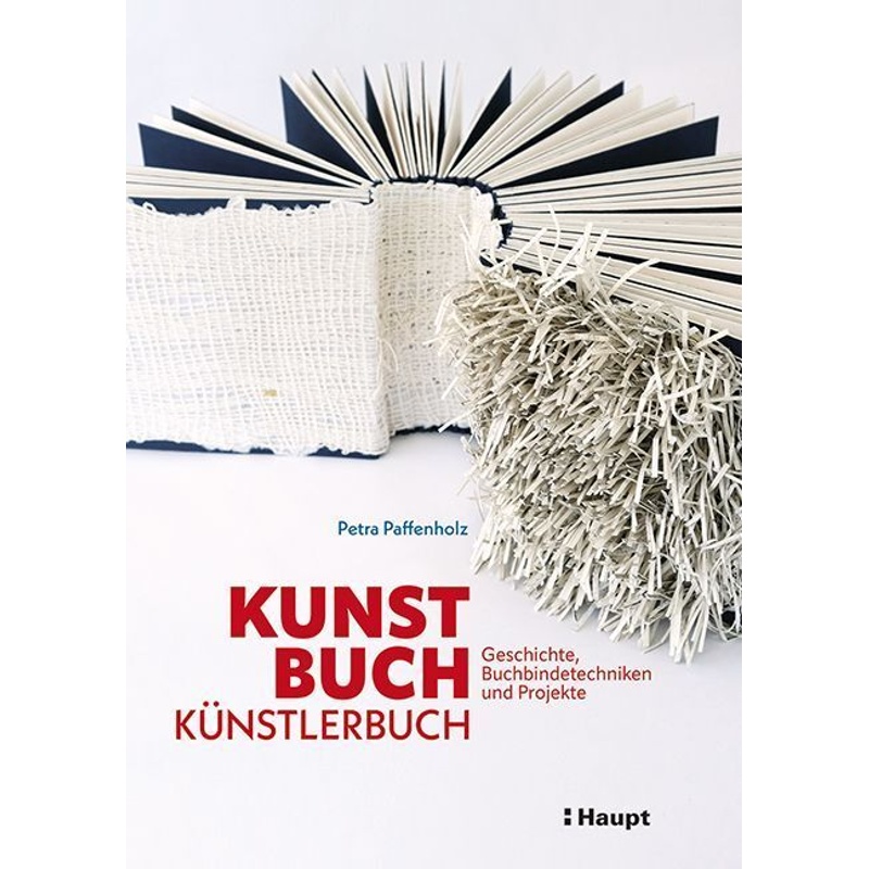 Kunst, Buch, Künstlerbuch von Haupt