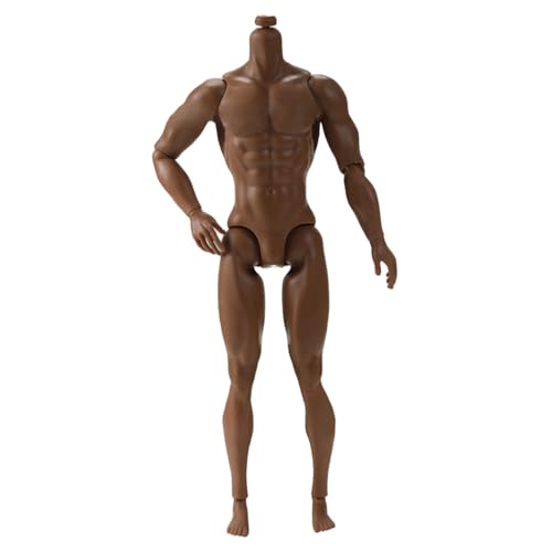 1/6 Skala -Aktions -Abbildung, 6 Multi -Gelenk -Bewegbare männliche muskulöse Actionfigur Körper für Display -Sammlung, Brown von Hbbgdiy