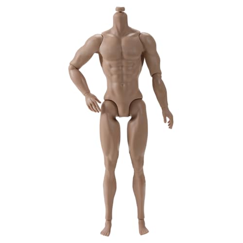 1/6 Skala -Aktions -Abbildung, 6 Multi -Gelenk -bewegliche männliche muskulöse Wirkungsfigur Körper für Display -Sammlung, Hellbraun 1/6 Skala -Aktions -Abbildung, 6 Multi -Gelenk -bewegliche männliche muskulöse Wirkungsfigur Körper für Display -Sammlung, Hellbraun von Hbbgdiy