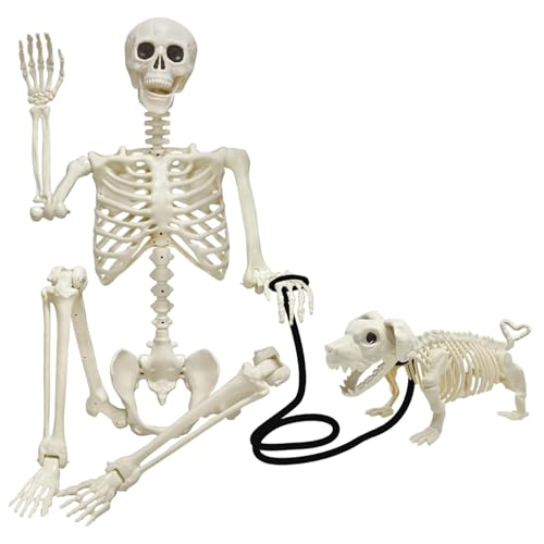 Hbbgdiy 35 -Zoll -Halloween -Skelett mit Hund und Seil, realistische bewegliche Gelenke Plastik Skelett für Spukhaus, Hof, Schule, Bar Party Scary Dekorationen Hbbgdiy 35 -Zoll -Halloween -Skelett mit Hund und Seil, realistische bewegliche Gelenke Plastik Skelett für Spukhaus, Hof, Schule, Bar Party Scary Dekorationen von Hbbgdiy