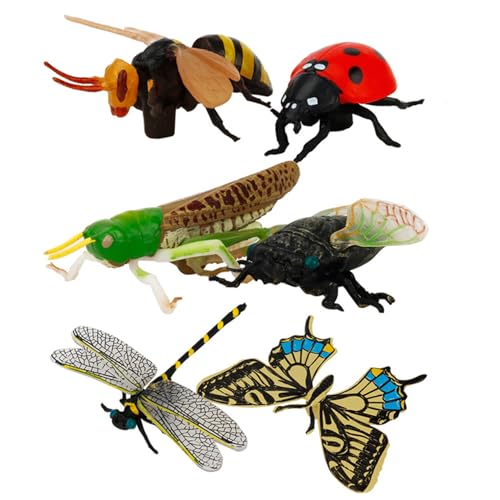 Hbbgdiy Bug Toys 6PCs Sortierte realistische plastische gefälschte Fehler umfassen Schmetterling, Libelle, Ladybird und mehr lehrreiches Lernspielzeug für Kinder Hbbgdiy Bug Toys 6PCs Sortierte realistische plastische gefälschte Fehler umfassen Schmetterling, Libelle, Ladybird und mehr lehrreiches Lernspielzeug für Kinder von Hbbgdiy