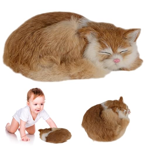 Hbbgdiy Katze gefülltes Tier, realistisch lebendige, schlafende, gefüllte Tierkatze, süße weiche und Flauschige falsche Kätzchen -Plüsch zum Umarmen, Spielen und Schlafen. Hbbgdiy Katze gefülltes Tier, realistisch lebendige, schlafende, gefüllte Tierkatze, süße weiche und Flauschige falsche Kätzchen -Plüsch zum Umarmen, Spielen und Schlafen. von Hbbgdiy