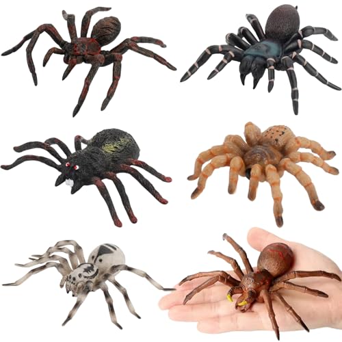 Hbbgdiy Realistische Tierfiguren, 6pcs gefälschte Spinnen Tarantula Spielzeugfigurmodelle, pädagogisches Lernen realistische Spinne für Jungen und Mädchen, Halloween Streichprops -Partyzubehör. Hbbgdiy Realistische Tierfiguren, 6pcs gefälschte Spinnen Tarantula Spielzeugfigurmodelle, pädagogisches Lernen realistische Spinne für Jungen und Mädchen, Halloween Streichprops -Partyzubehör. von Hbbgdiy