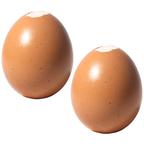 Hbbgdiy Squeeze Toy 2pcs Palm Size Realistic Ego Stress Spielzeug mit zerkleinbaren Muscheln Weiche Gummistress -Entlastungsrequelle für Kinder und Erwachsene in der Schule, Büro, Büro von Hbbgdiy