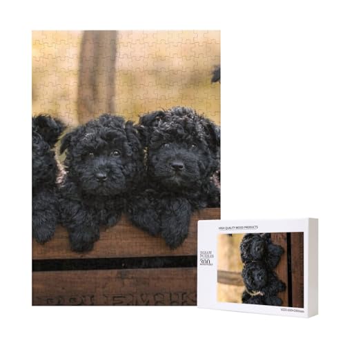 300 Teile Puzzle Holzpuzzle Spielzeug Familienspiel für Erwachsene Jugendliche,Affenpinscher Familie Welpen Schwarze Hunde AFFE 300 Teile Puzzle Holzpuzzle Spielzeug Familienspiel für Erwachsene Jugendliche,Affenpinscher Familie Welpen Schwarze Hunde AFFE von Hdhfjks