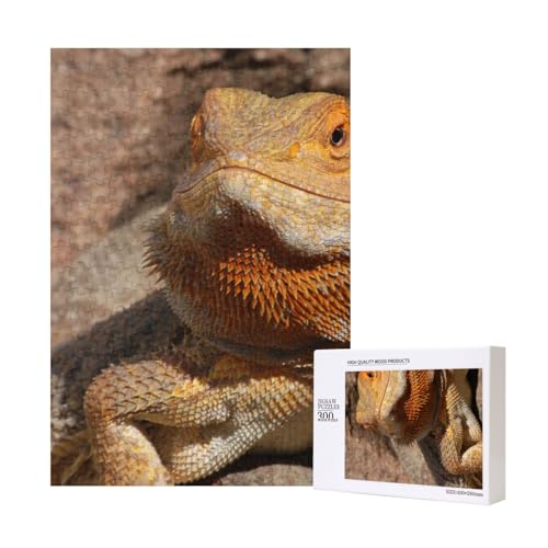 300 Teile Puzzle Holzpuzzle Spielzeug Familienspiel für Erwachsene Jugendliche,Bartagame 300 Teile Puzzle Holzpuzzle Spielzeug Familienspiel für Erwachsene Jugendliche,Bartagame von Hdhfjks
