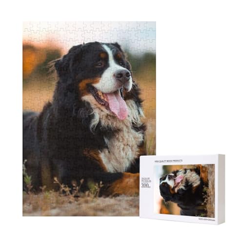 300 Teile Puzzle Holzpuzzle Spielzeug Familienspiel für Erwachsene Jugendliche,Berner Sennenhund 300 Teile Puzzle Holzpuzzle Spielzeug Familienspiel für Erwachsene Jugendliche,Berner Sennenhund von Hdhfjks