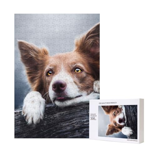 300 Teile Puzzle Holzpuzzle Spielzeug Familienspiel für Erwachsene Jugendliche,Brauner Border Collie Bokeh Gott mit gelben Augen 300 Teile Puzzle Holzpuzzle Spielzeug Familienspiel für Erwachsene Jugendliche,Brauner Border Collie Bokeh Gott mit gelben Augen von Hdhfjks