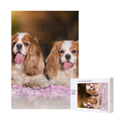 300 Teile Puzzle Holzpuzzle Spielzeug Familienspiel für Erwachsene Jugendliche,Cavalier King Charles Spaniel Weiß Braun Hunde 300 Teile Puzzle Holzpuzzle Spielzeug Familienspiel für Erwachsene Jugendliche,Cavalier King Charles Spaniel Weiß Braun Hunde von Hdhfjks
