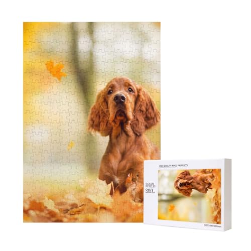 300 Teile Puzzle Holzpuzzle Spielzeug Familienspiel für Erwachsene Jugendliche,Cocker Spaniel Herbst Park Braun Spaniel Hunde 300 Teile Puzzle Holzpuzzle Spielzeug Familienspiel für Erwachsene Jugendliche,Cocker Spaniel Herbst Park Braun Spaniel Hunde von Hdhfjks