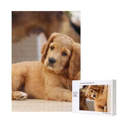 300 Teile Puzzle Holzpuzzle Spielzeug Familienspiel für Erwachsene Jugendliche,Cocker Spaniel Welpe Kleiner Spaniel Hunde Haustiere 300 Teile Puzzle Holzpuzzle Spielzeug Familienspiel für Erwachsene Jugendliche,Cocker Spaniel Welpe Kleiner Spaniel Hunde Haustiere von Hdhfjks